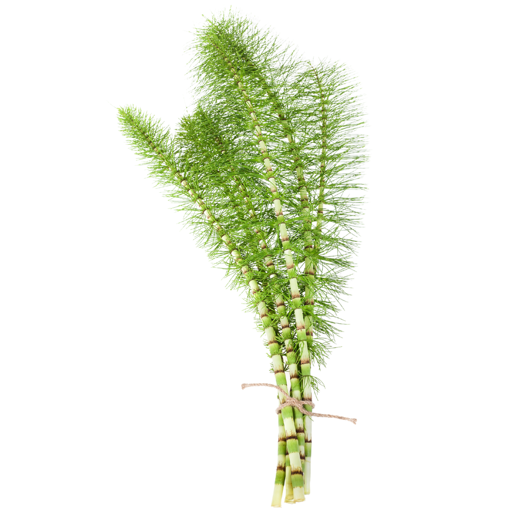 Valentínsky balíček-1537